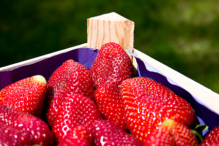 在一个箱子里草莓芳香手工水果稻草篮子采摘太阳饮食花园香气图片
