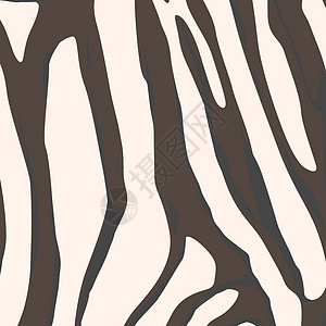斑马背景动物园线条手绘曲线野生动物艺术动物动物学条纹荒野图片