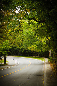 山毛林中轴风向弯曲道路旅行树木树叶曲线场景运输森林街道场地环境图片