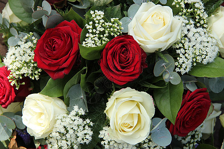 红玫瑰和白玫瑰在新娘花束中中心花朵绿色团体花瓣白色婚姻婚礼植物群玫瑰图片