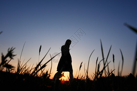 在田野和日落边行走的青年男子图片