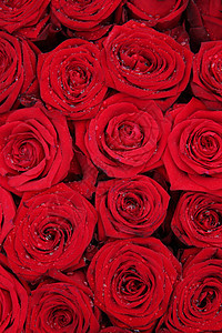 一大群红玫瑰婚礼绿色团体花束花店花瓣植物玫瑰装饰品桌子图片