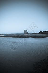 香农河口的卡里加弗伊尔城堡图片
