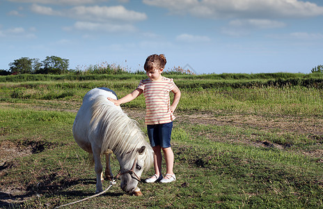 白马匹和小女孩图片