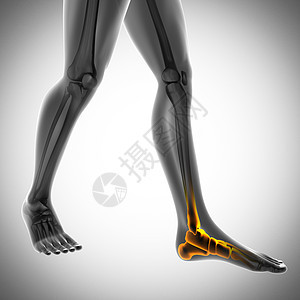 放射摄影扫描图象肋骨药品骨骼保健射线膝盖x光教育卫生医院图片