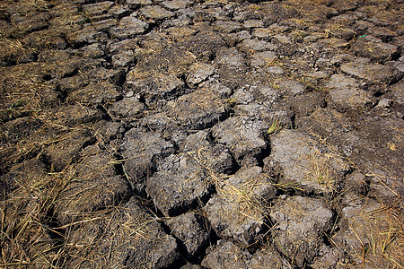 干裂地地球干旱土壤天气地面沙漠灰尘土地全球灾难图片