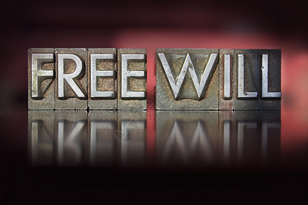 Free Will 信头图片