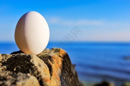岸边的鸡蛋脆弱性禅意椭圆蛋黄蛋壳动物支撑海岸海滨平衡图片