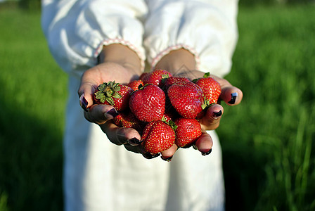 手中握着一小撮草莓红色女性浆果女士背景图片
