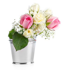 在白色背景上孤立的金属桶里美丽的玫瑰花朵生日婚礼花束植物群礼物玫瑰边界花园图片