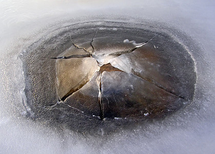硗碛湖冰上的裂缝背景