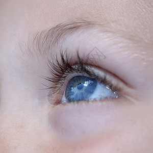蓝眼睛反射眼睛光学角膜眉毛睫毛皮肤瞳孔鸢尾花美丽图片