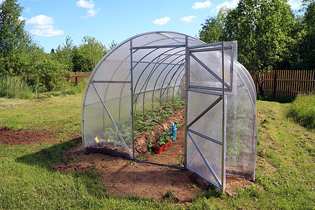 热温室生物学文化蔬菜塑料花园场景栽培苗圃食物幼苗图片