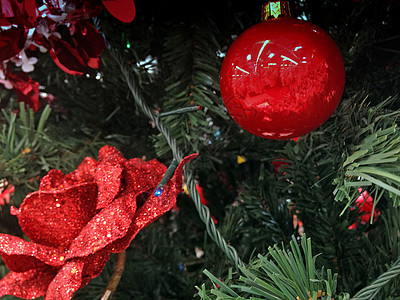意大利 圣诞舞会派对紫色装饰团体蓝色假期卡片玻璃金子庆典图片