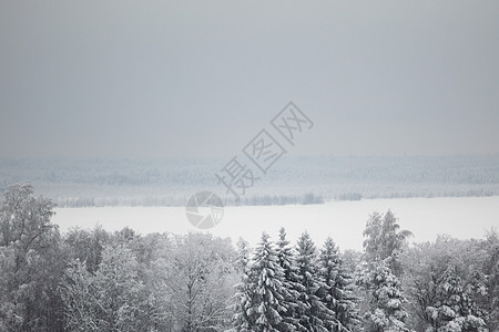 冬冬房庆典场景松树仙境雪花窗户季节木头降雪天空图片
