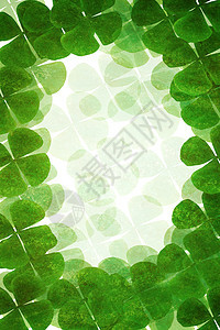 绿色植物框架植物人叶子环境白色森林边界风格插图照片花园图片
