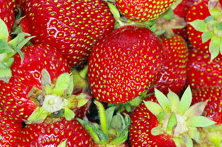 草莓特写草莓宏观种子食物红色杂货店黄色水果植物植物群背景
