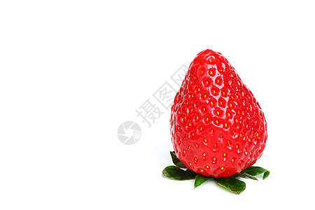 隔离一个草莓草莓图片