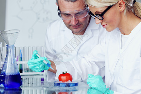 番茄DNA研究员科学化学蔬菜生物实验手套植物实验室食物图片