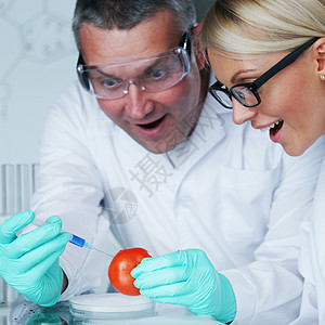 番茄DNA男人学生化学品实验室职场显微镜化学技术科学家科学图片