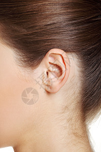 闭上耳朵棕色女孩耳廓女士医疗洞察力解剖学身体耳垂肤色图片
