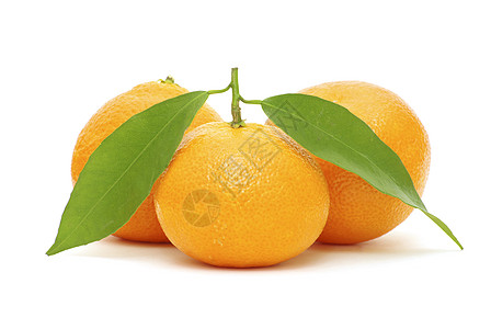 新鲜冰糖橘橘仁黄色橙子食物美食白色茶点果实蔬菜饮食养分背景