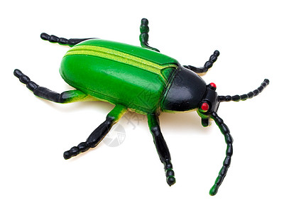 甲虫玩具艺术动物收藏塑像漏洞塑料白色绿色荒野棕色图片