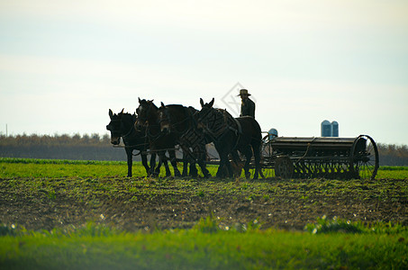 阿米什农民工作领域图片