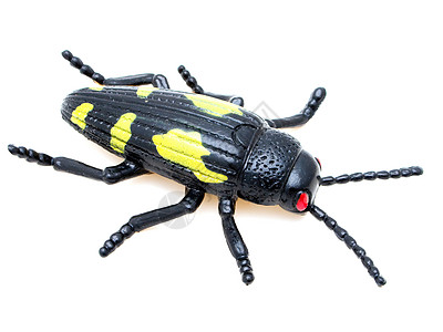 甲虫玩具塑像荒野野生动物棕色动物宏观漏洞黑色生物塑料图片