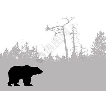 矢量绘图草图动物飓风生态艺术品艺术气象哺乳动物木头风景图片
