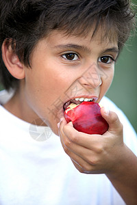 男孩吃苹果食物男性眼睛白色红色水果头发福利男生棕色图片