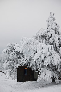 冬冬房降雪天空星星松树滑雪庆典树木假期季节窗户图片