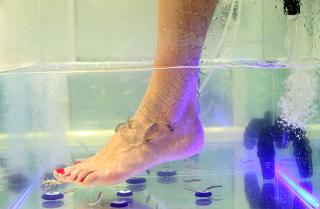 养脚鱼照顾女孩修脚保健护理女士按摩安全温泉美丽指甲图片