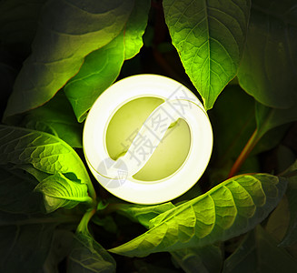紧凑型荧光灯植物生态正方形环境保护袖珍辉光力量灯泡荧光树叶图片