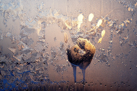 冰窗上的手印冻结救援窗户手指棕榈滴水低温季节阴影图片