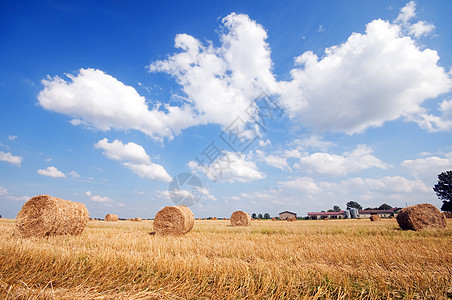 战地风云战地的黑沙堆干草谷物土地牧场草垛植物天气晴天农业农场背景