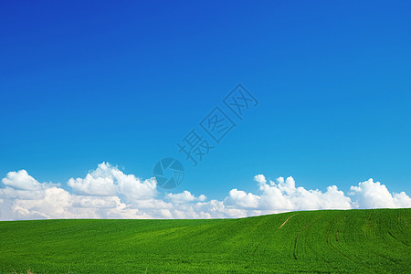 夏季草原绿色夏季景观天空农业农场场景天气阳光植物牧场环境天堂背景