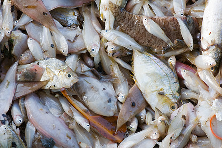 小型小鱼烹饪海鲜美食篮子盘子市场营养眼睛海洋销售图片