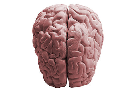 人脑身体心理学技术智力头脑测试小脑知识分子射线皮层背景图片