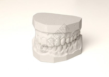 一套牙齿的石膏白色医生医学卫生牙医颚骨牙科医疗图片