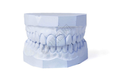 一套牙齿的石膏颚骨医生卫生白色牙医牙科医疗医学图片