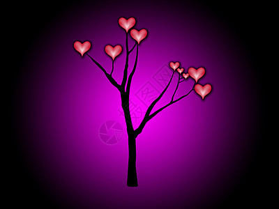 红心树情感心形浪漫植物群粉色概念情绪化机构热情图片