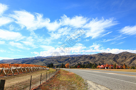 漫长的道路延伸白色中心地平线黑色驾驶蓝色旅行场景孤独天空图片