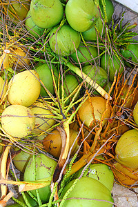 椰子新鲜作物收获绿色和黄色热带水果旅行投标通体可可假期饮料营养食物图片