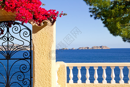 的地中海围栏花朵天空地平线旅游环境晴天海岸旅行海滩假期图片