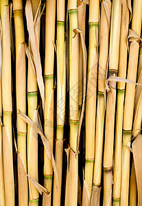 用作栅栏或天窗的甘油纹理棕褐色竹子木材芦苇墙纸甘蔗棕色细绳镶板条纹图片