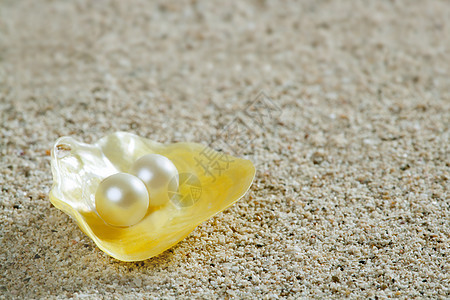 夏季热带黄壳上的沙沙沙珍珠图片