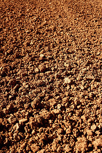 Clay 红色农业肥料土壤地面干旱沙漠植物气候场地农田地球季节环境图片