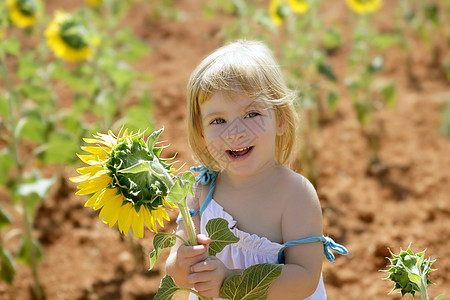 在夏日向日葵田的美丽小女孩草地孩子孩子们家庭阳光喜悦太阳场地花朵向日葵图片