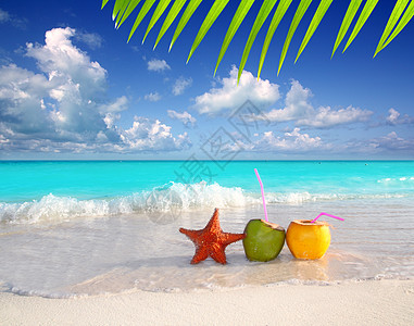 热带海滩的椰子鸡果汁和海星装饰品通体飞溅天空波纹椰子假期饮料支撑波浪图片